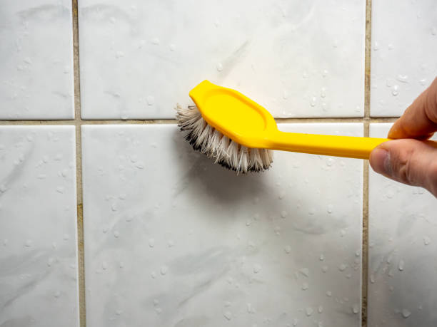 Best Commercial Mold Remediation in Honaker, VA
